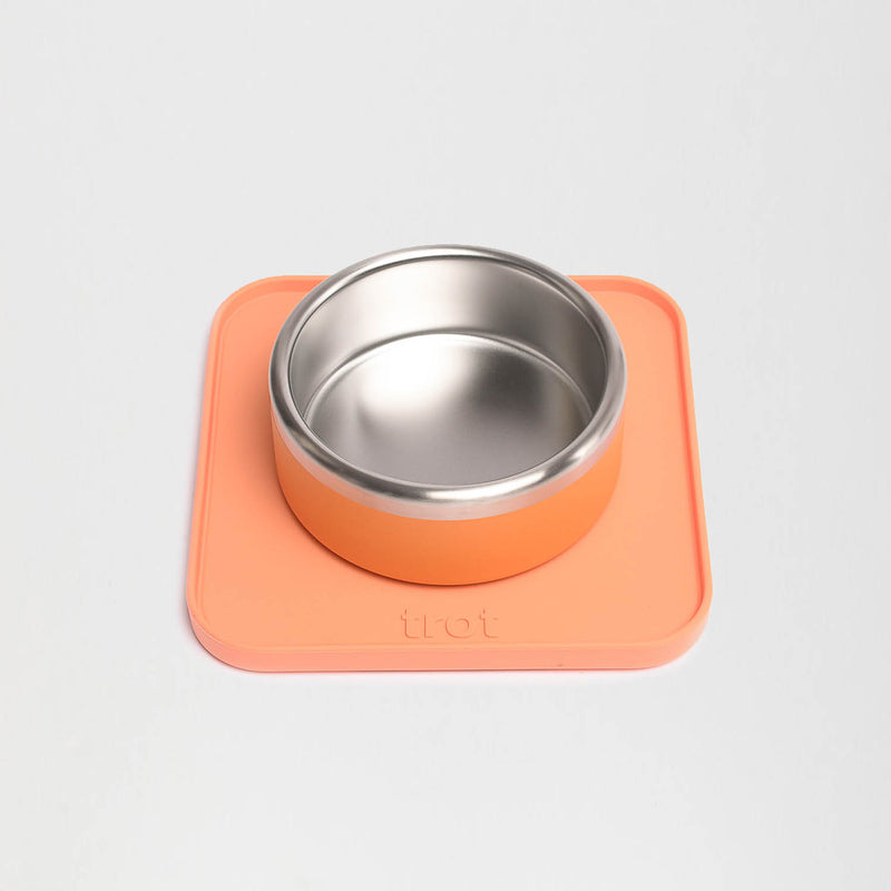 Trot Single Water Bowl Set