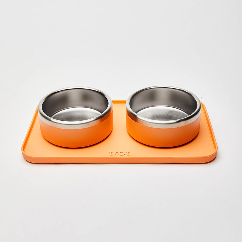 Trot Complete Water Bowl Set with Mat